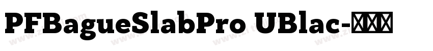 PFBagueSlabPro UBlac字体转换